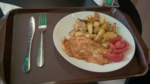 Food Portion For One Passenger Video stock 155461532