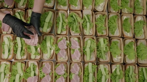 Food preparation process featuring a person assembling sandwiches with lettuce Stock Footage 340172492