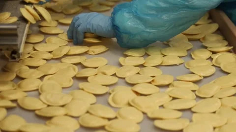 Food processing factory - filled pasta Video stock 306290459