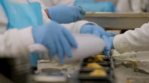 Food processing factory Stock Footage 306290458