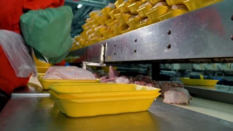 Food processing factory. Gloved workers hands choose and pack chicken breasts. Stock Footage 79827001