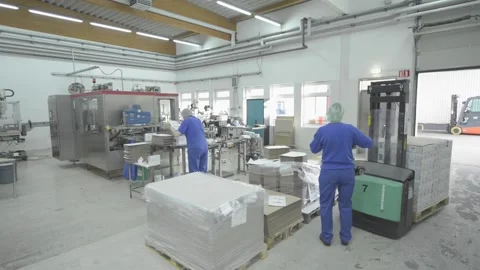 Food Processing Factory Working the Forklift Stock-Footage 232962959