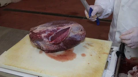 Food processing plant, beef meat. Workers cut meat.  Stock Footage 85485475