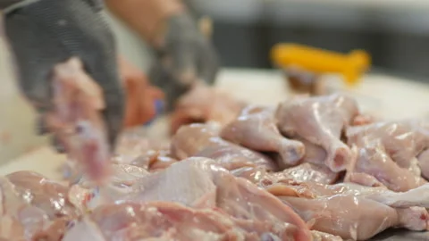 Food processing plant, chicken meat. Defocused man hands cut meat Stock Footage 87322690