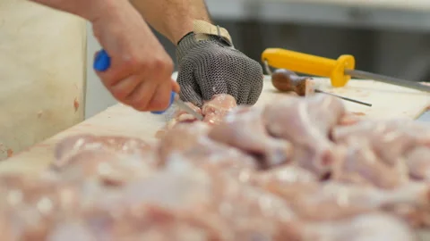 Food processing plant, chicken meat. Close up of man hands cut meat Stock Footage 87323045