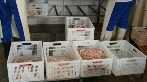 Food processing plant, chicken meat in boxes on floor Stock Footage 87323898
