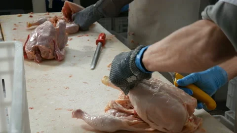 Food processing plant, chicken meat. Close up of man hands cut meat Stock Footage 87324027