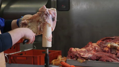 Food processing plant, chicken meat. Close up of man hands cutting chicken with Stock Footage 102161186