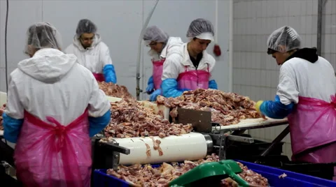 Food processing plant Stock Footage 4208287