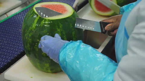 Food processing plant worker cuts away outer parts of watermelon fruit as Stock Footage 132897119