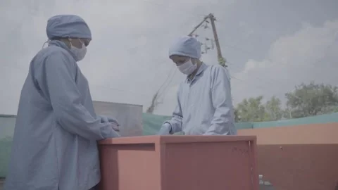 Food processing workers sorting fruit in a factory setting Vídeo Stock 327442387