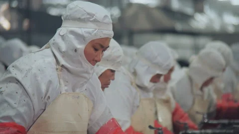 A food processing workshop in Shandong, China Stock Footage 140320404