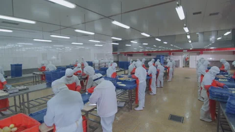 A food processing workshop in Shandong, China Stock Footage 140323866