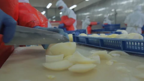 A food processing workshop in Shandong, China Stock Footage 140328359