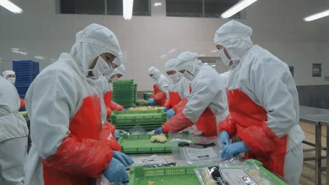 A food processing workshop in Shandong, China Vídeo Stock 140332384