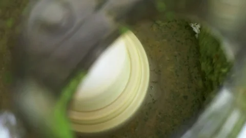 Food processor blending arugula walnut pesto Video stock 72465787