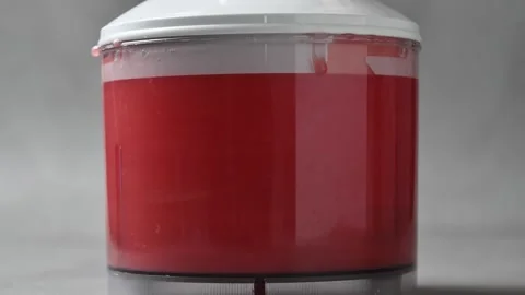 Food processor blends fresh watermelon into smooth red puree for homemade summer Stock Footage 345793238