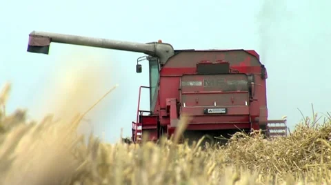 Food production harvest Stock Footage 8555853