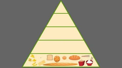 Food Pyramid Drawing | Nutrition Healthy Food Pyramid Drawing | Balanced Diet  Food Pyramid Drawing - YouTube