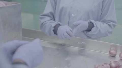 Food quality control workers handling red onions in a lab Stock-Footage 327442274