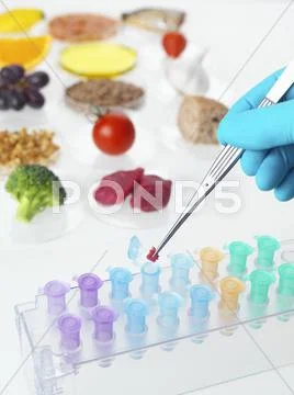 Food Research, Conceptual Image