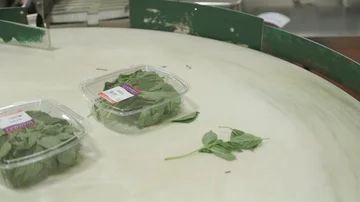 Food Safety | Food Processing 库存影片 85803352