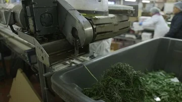 Food Safety | Food Processing 库存影片 85803353