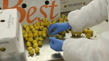 Food Safety | Food Processing 库存影片 85803359