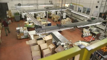 Food Safety | Food Processing 库存影片 85803360