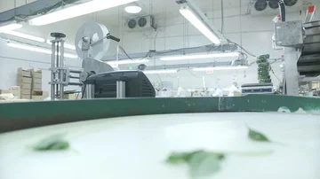 Food Safety | Food Processing 库存影片 85803374