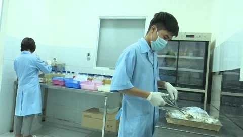 Food Safety Lab Sample Prep Two Technicians Working In Laboratory Stock Footage 345048543