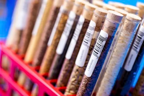 Food samples in test tubes Stock Photos