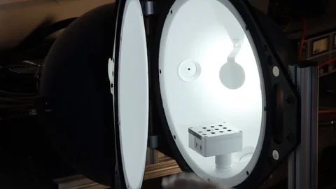 Food savety tests in lab on corn. Search for any contamination or bacteria Stock Footage 107759178