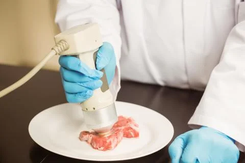 Food scientist using device on meat 写真素材