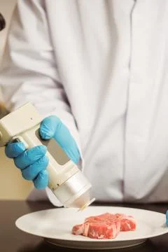 Food scientist using device on meat 스톡 사진