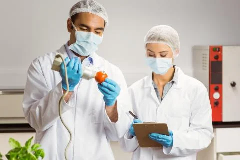 Food scientist using device on pepper 写真素材