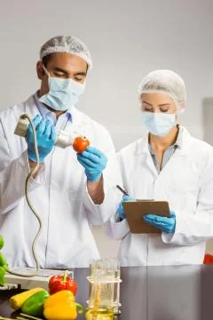 Food scientist using device on tomato 스톡 사진