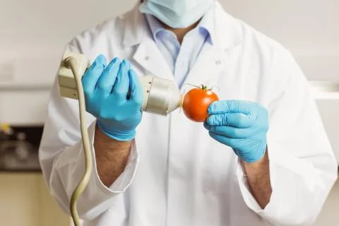 Food scientist using device on tomato Stockfoto's