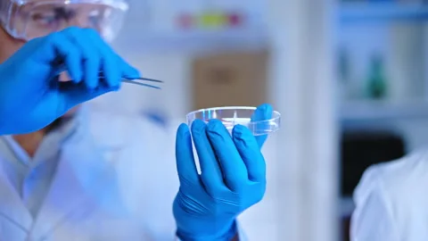 Food scientists testing lab-grown vegan meat in laboratory, quality control Stock Footage