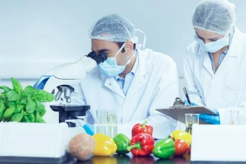 Food scientists using the microscope for research 스톡 사진