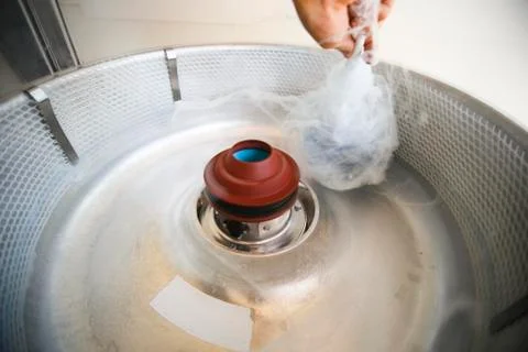 Food Serving Stock Photos