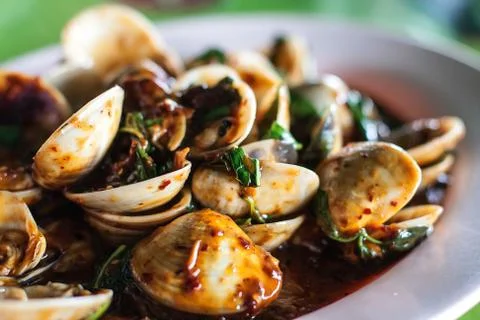 Food of shell of thailand Stock Photos