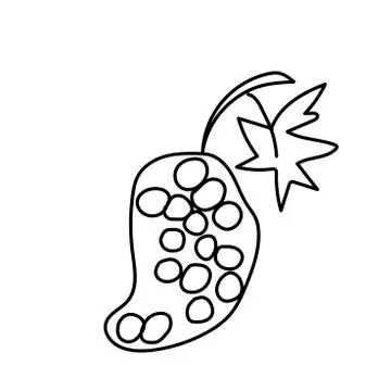 Food simple vector grapes. Stock Illustration