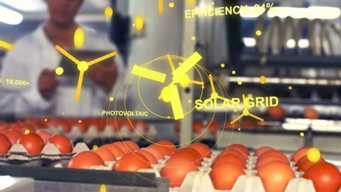 Food tech tapping tablet and starting AR solar while tracking egg trays showing Stock Footage 331872795
