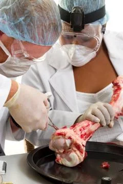 Food Technologists Stock Photos