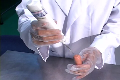 Food Testing Laboratory 스톡 동영상 146775