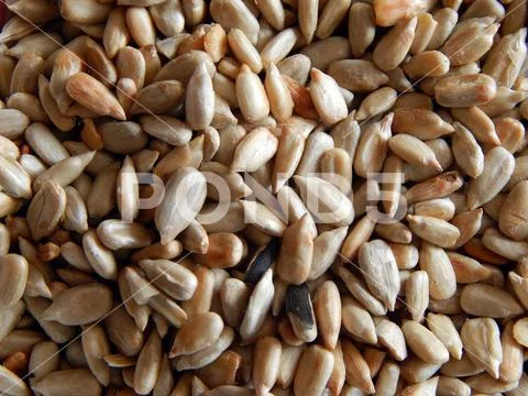 Food texture confectionery Stock Photos