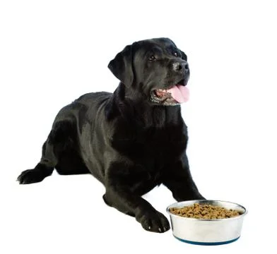 Food time Stock Photos