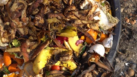 Food Waste Sorting ad Composting Stock Footage 104806226