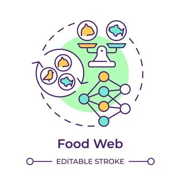 Food web multi color concept icon Stock Illustration